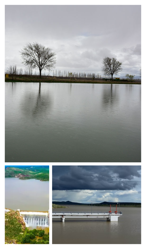 Presa Abraham Gonzalez